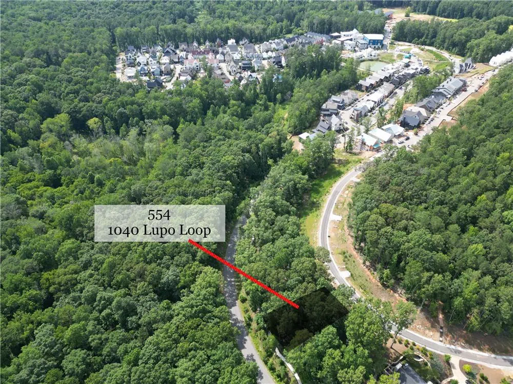 1040 Lupo Loop Palmetto, GA 30268