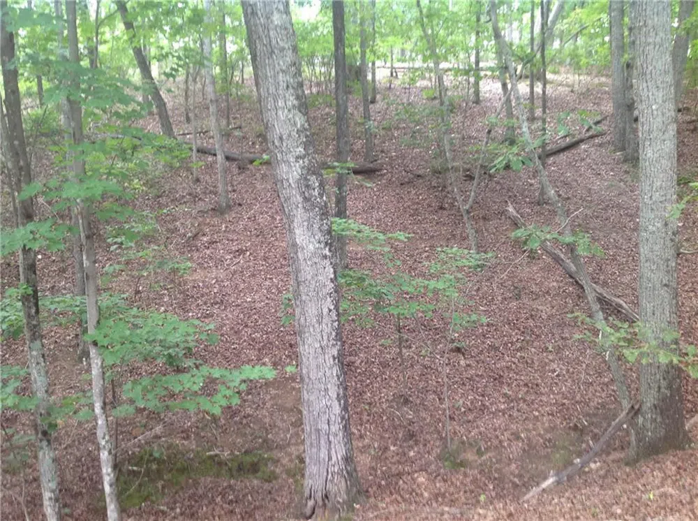 0 Osborne Road Flowery Branch, GA 30542