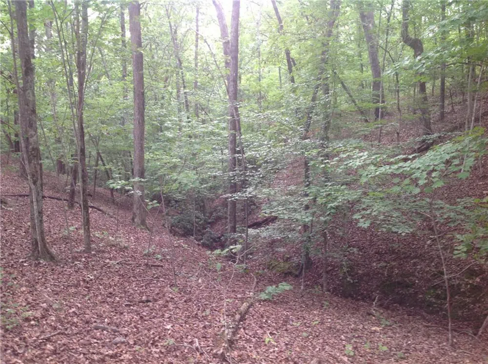 0 Osborne Road Flowery Branch, GA 30542