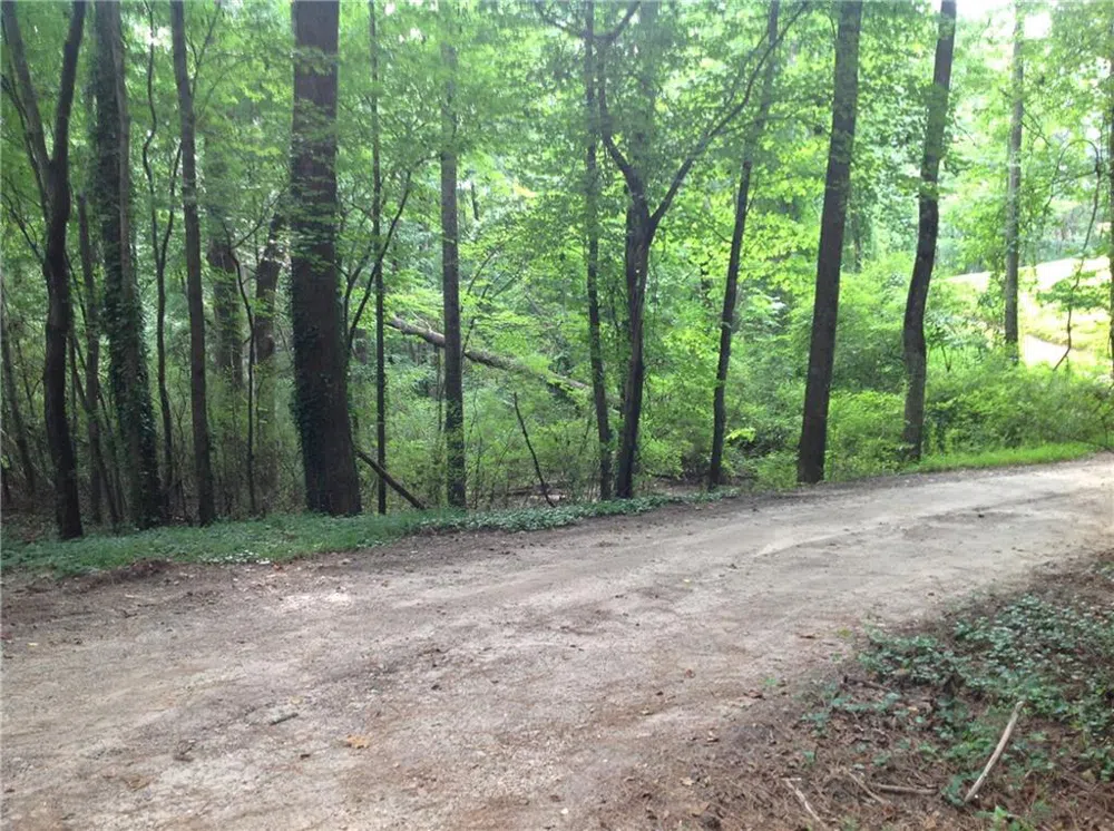 0 Osborne Road Flowery Branch, GA 30542