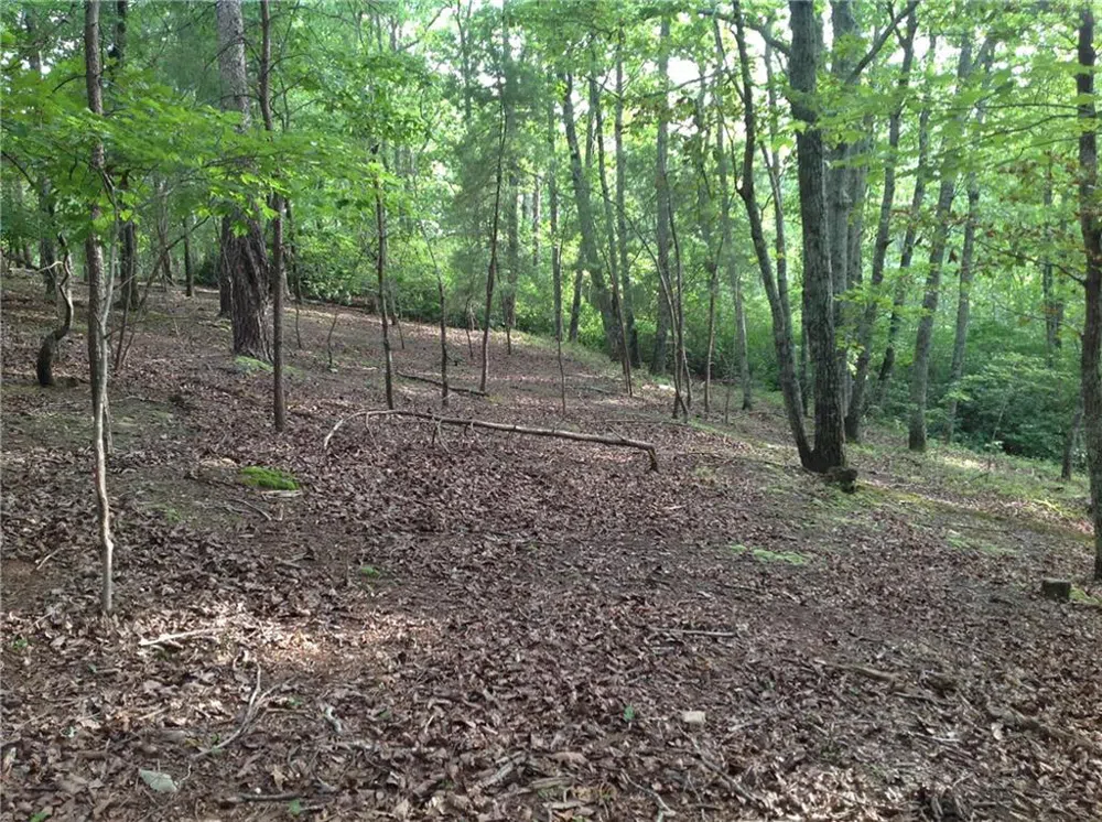 0 Osborne Road Flowery Branch, GA 30542