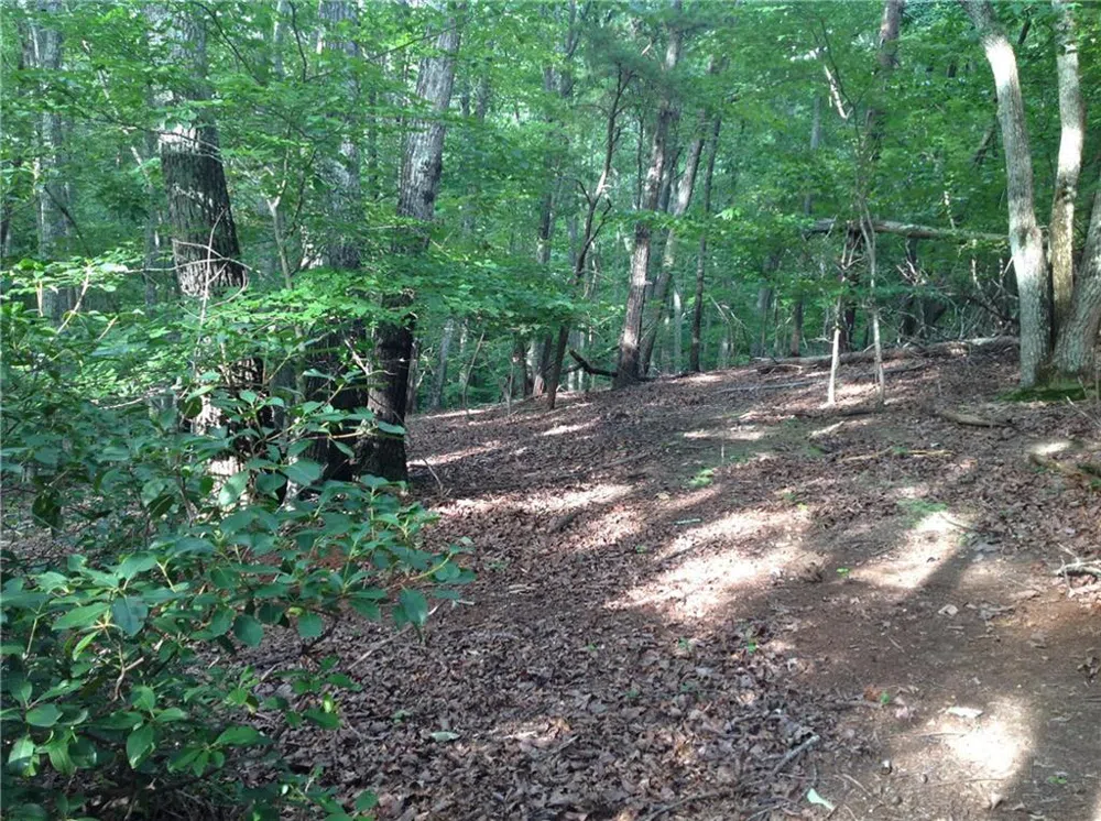 0 Osborne Road Flowery Branch, GA 30542