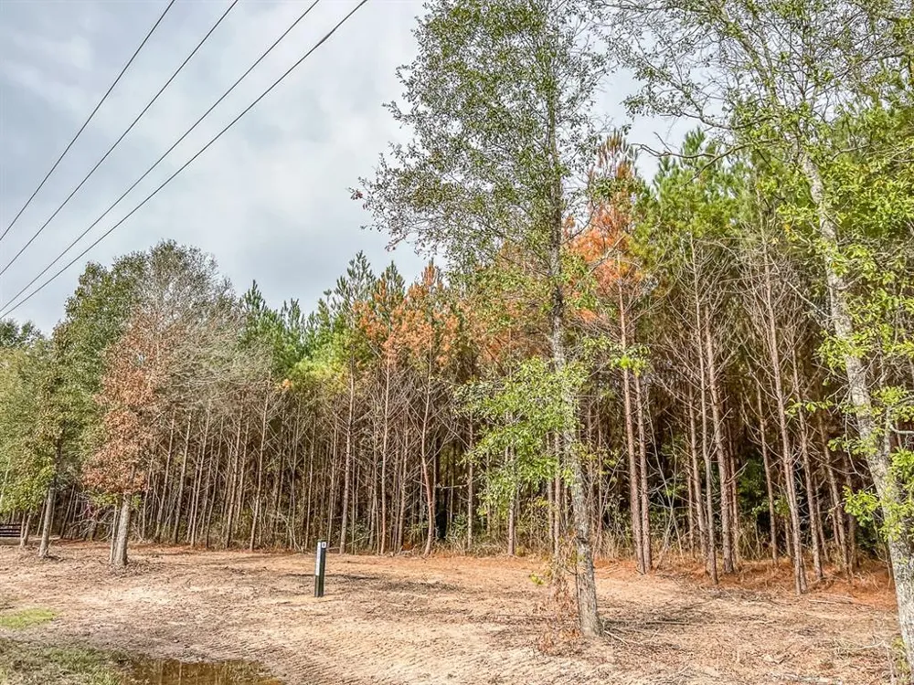 6 CR 2305 S Cleveland, TX 77327