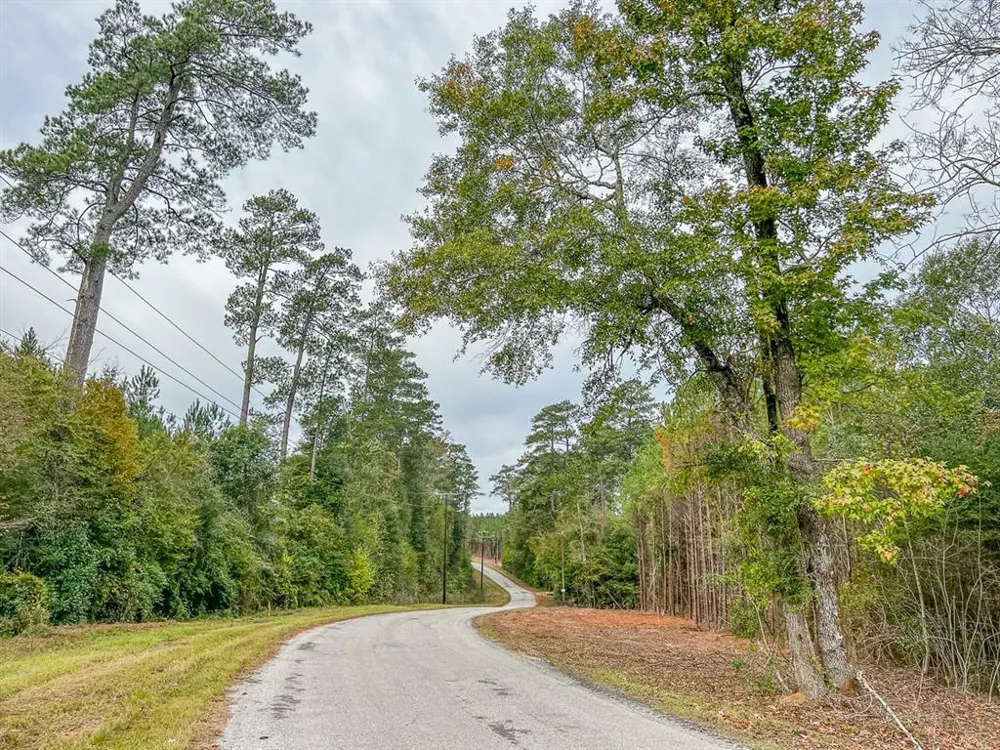 6 CR 2305 S Cleveland, TX 77327