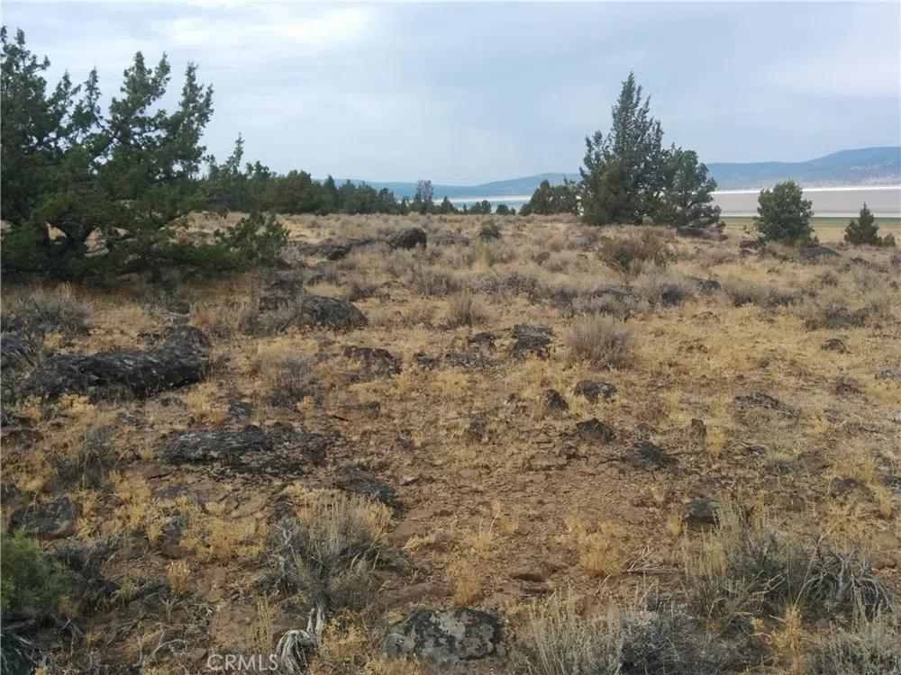 STREET Susanville, CA 96130