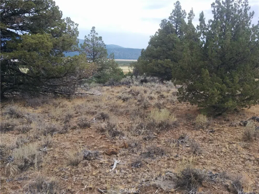 STREET Susanville, CA 96130