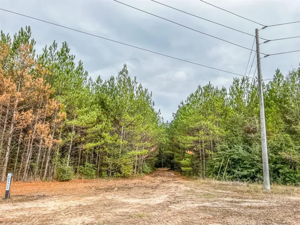 20 CR 2307 Cleveland, TX 77327
