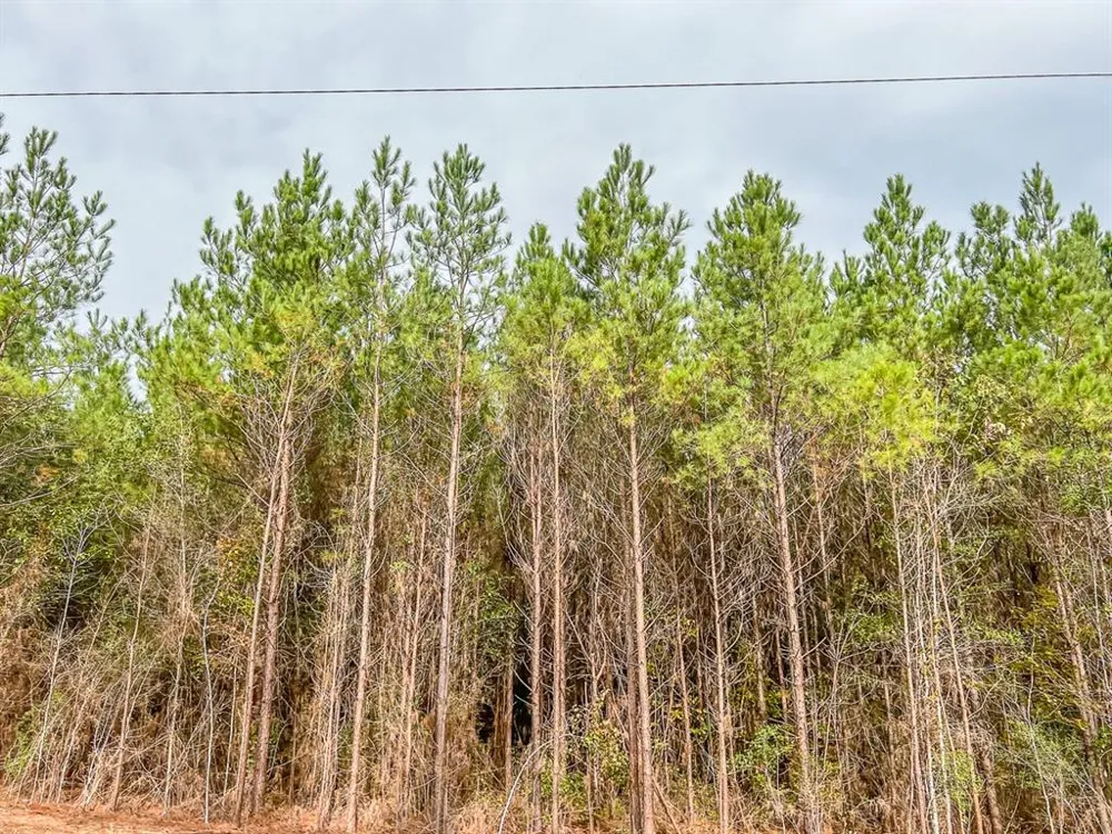 20 CR 2307 Cleveland, TX 77327