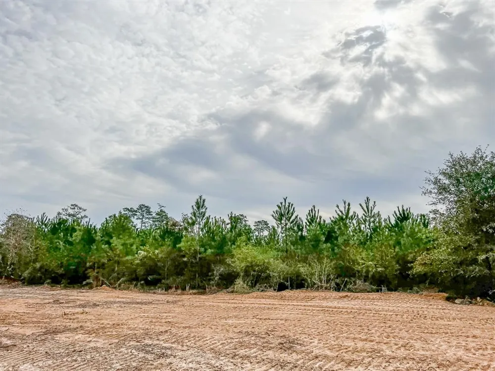 20 CR 2307 Cleveland, TX 77327