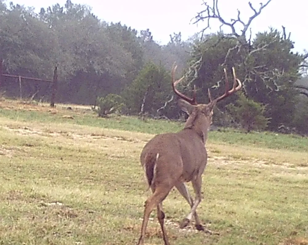 2334 CR 105 Lampasas, TX 76550