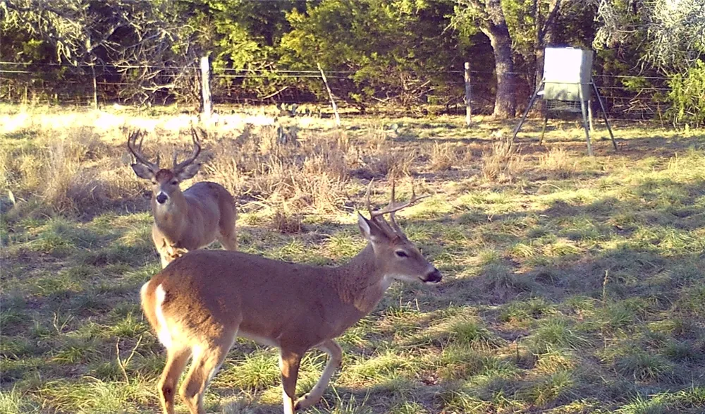 2334 CR 105 Lampasas, TX 76550