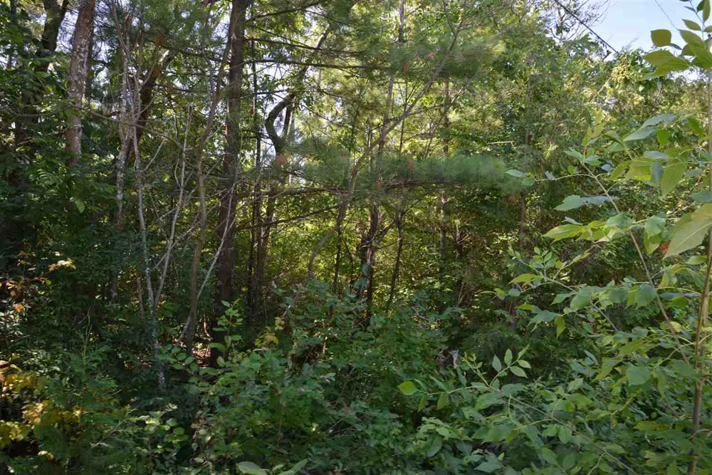 W Third Street Elk Rapids Township, MI 49629