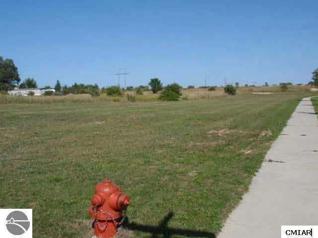 Heather Lane Alma City, MI 48801