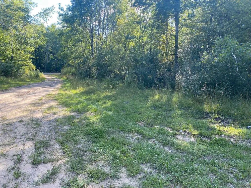 Cowlitz Cove Evart Township, MI 49631