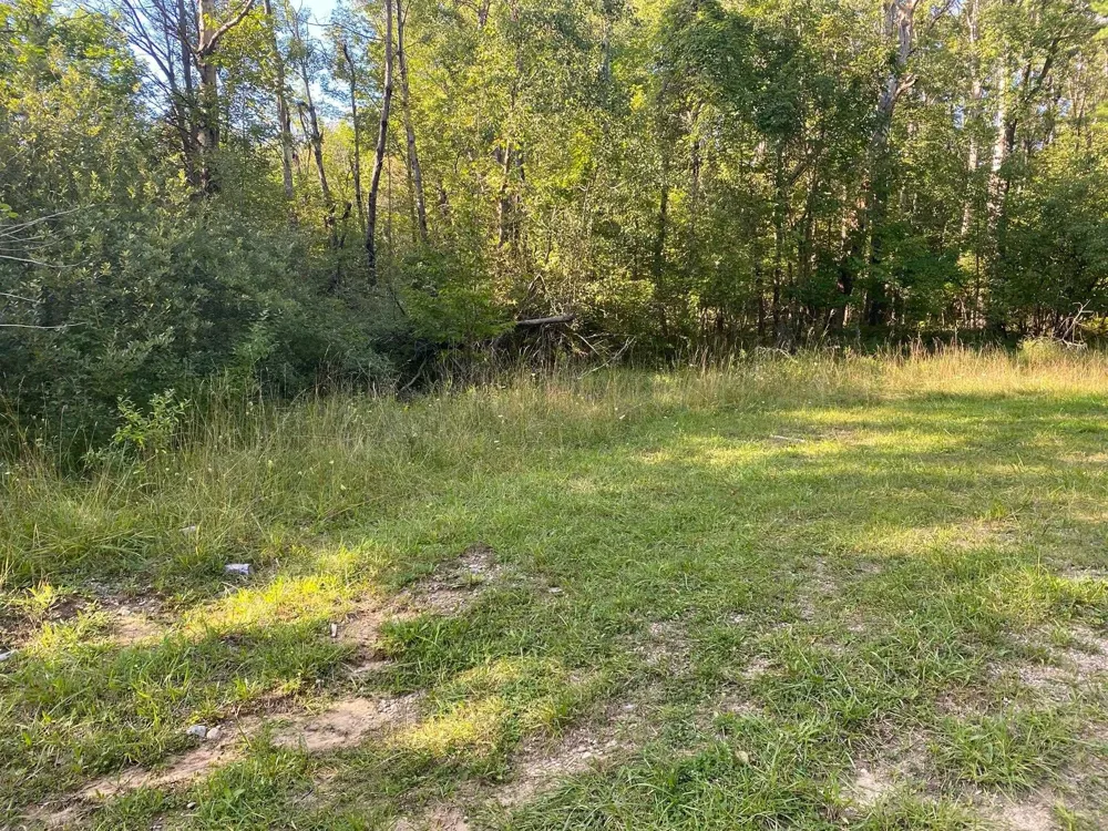 Cowlitz Cove Evart Township, MI 49631