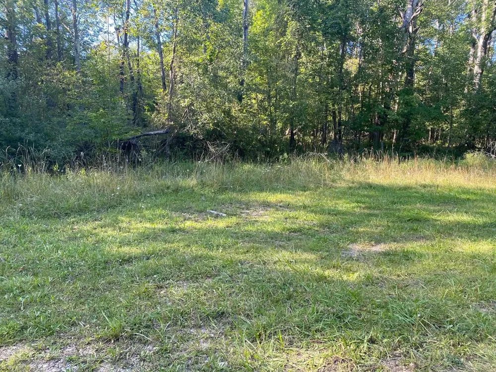 Cowlitz Cove Evart Township, MI 49631