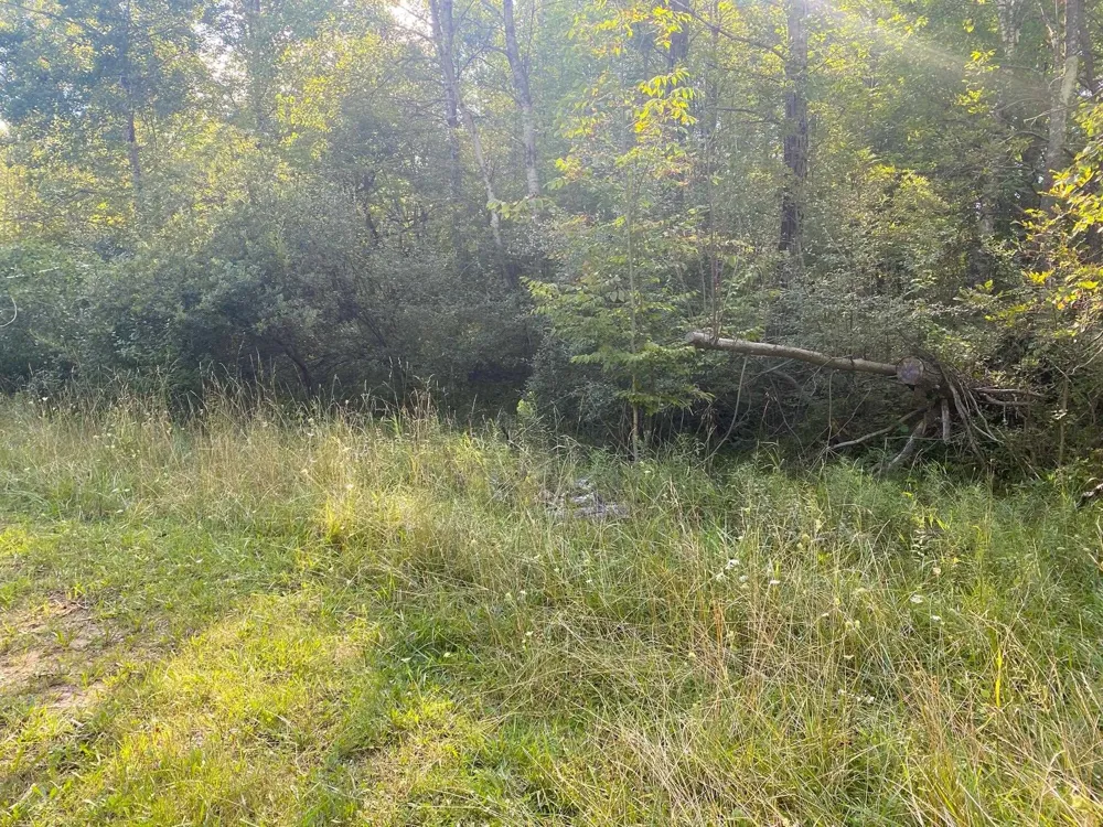 Cowlitz Cove Evart Township, MI 49631