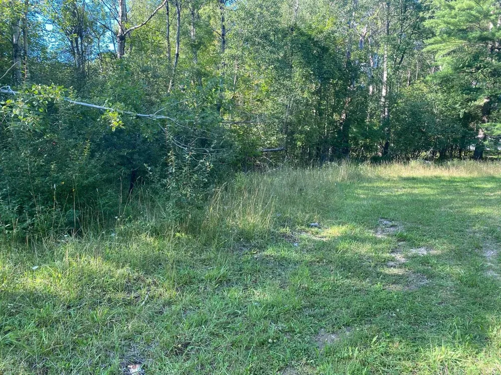 Cowlitz Cove Evart Township, MI 49631