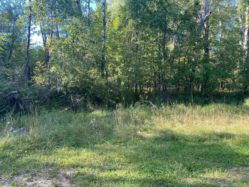 Cowlitz Cove Evart Township, MI 49631