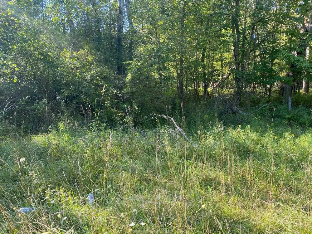 Cowlitz Cove Evart Township, MI 49631