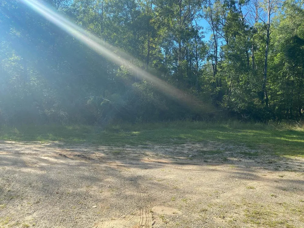 Cowlitz Cove Evart Township, MI 49631
