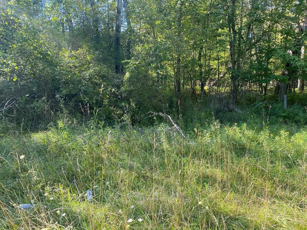 Cowlitz Cove Evart Township, MI 49631