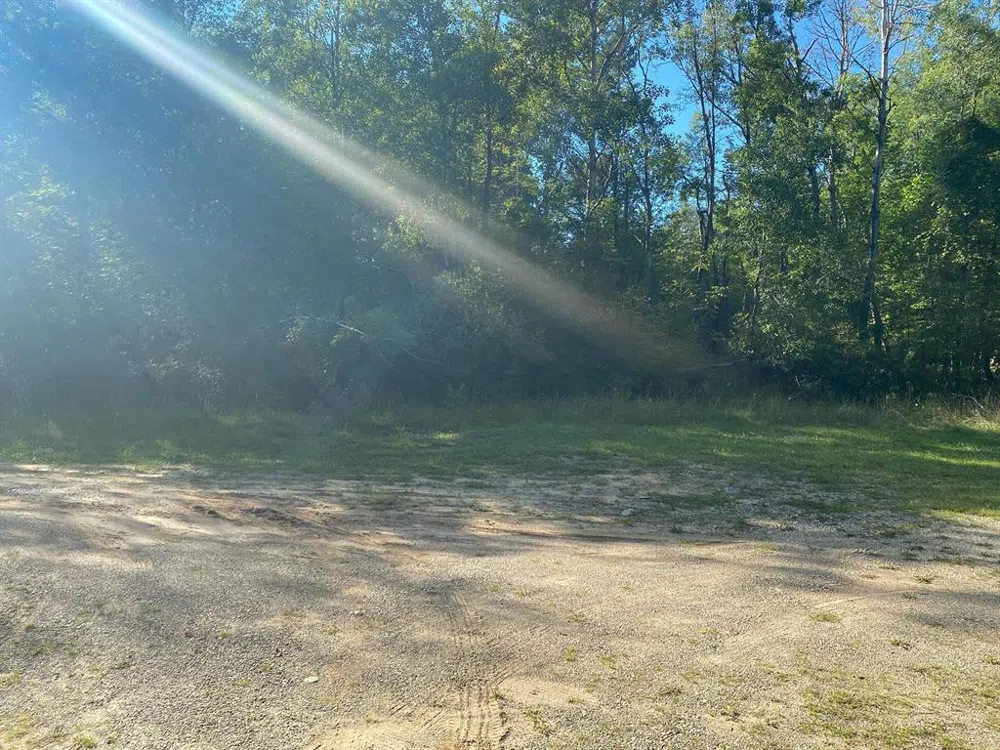 Cowlitz Cove Evart Township, MI 49631