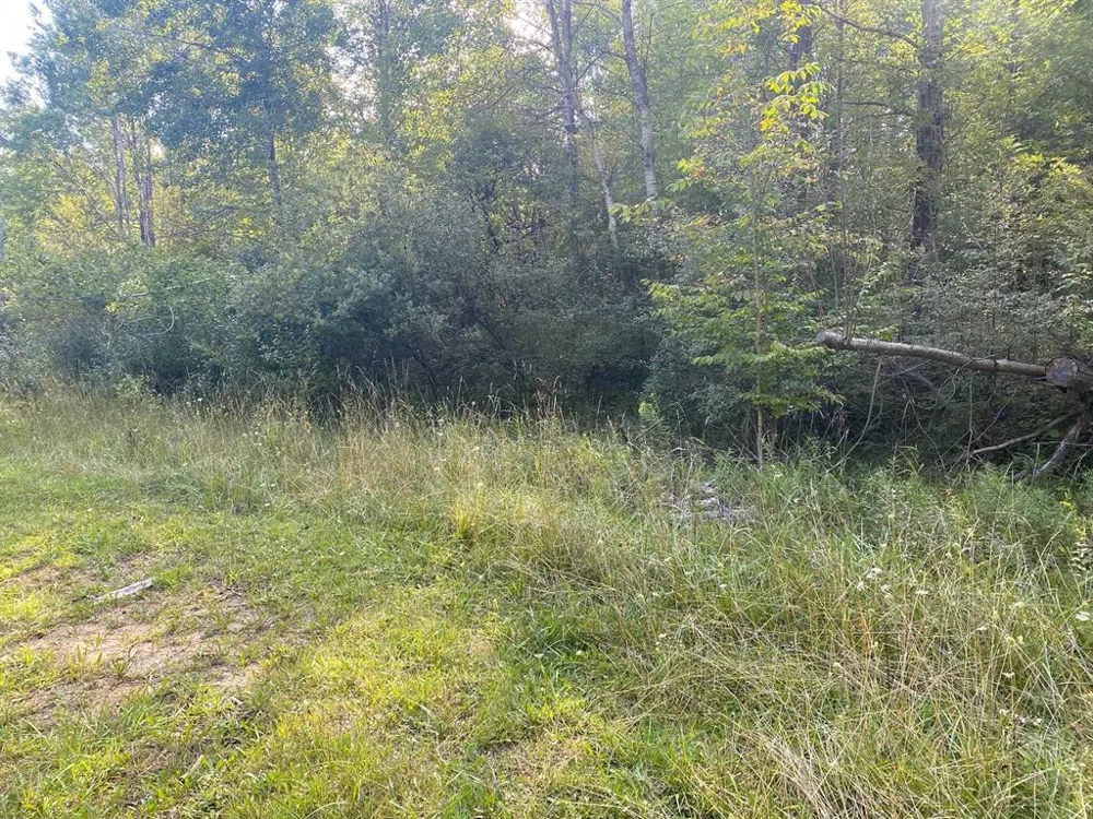 Cowlitz Cove Evart Township, MI 49631