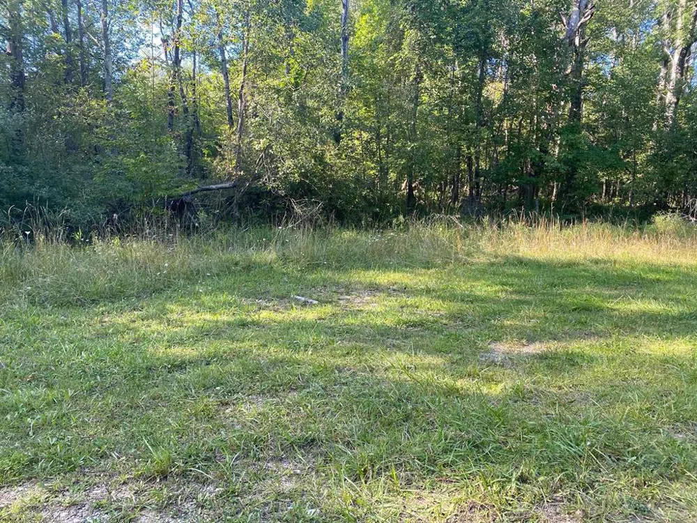 Cowlitz Cove Evart Township, MI 49631