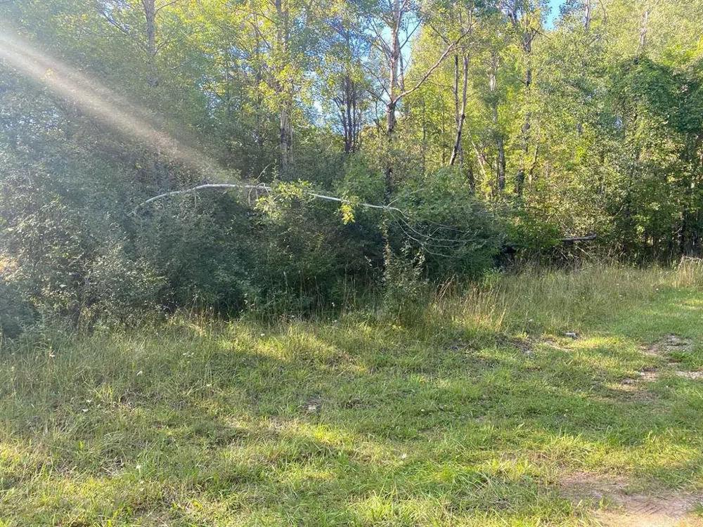 Cowlitz Cove Evart Township, MI 49631
