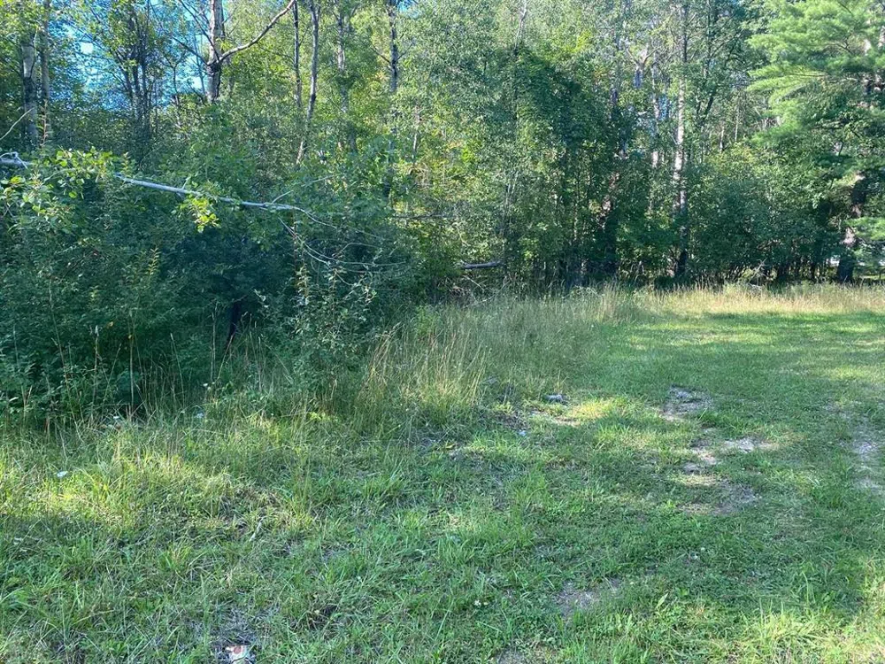 Cowlitz Cove Evart Township, MI 49631