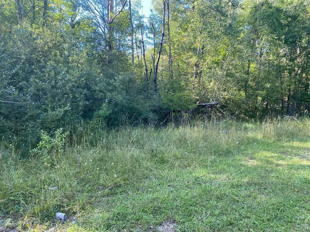 Cowlitz Cove Evart Township, MI 49631