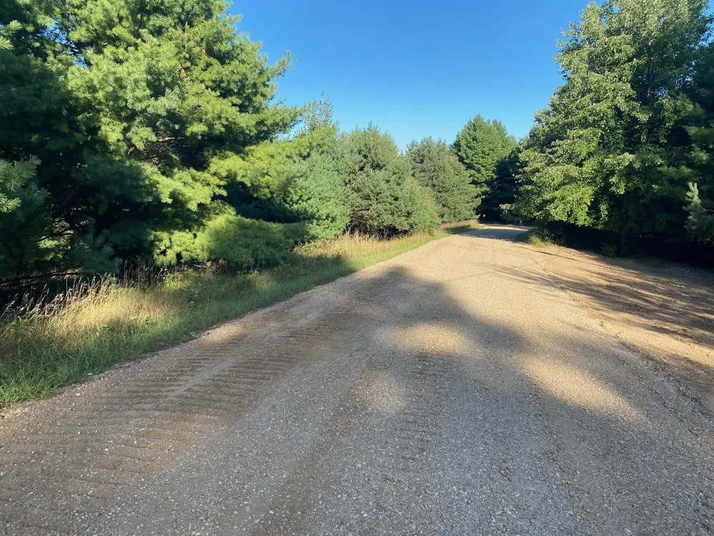Allegheny Trail Evart Township, MI 49631