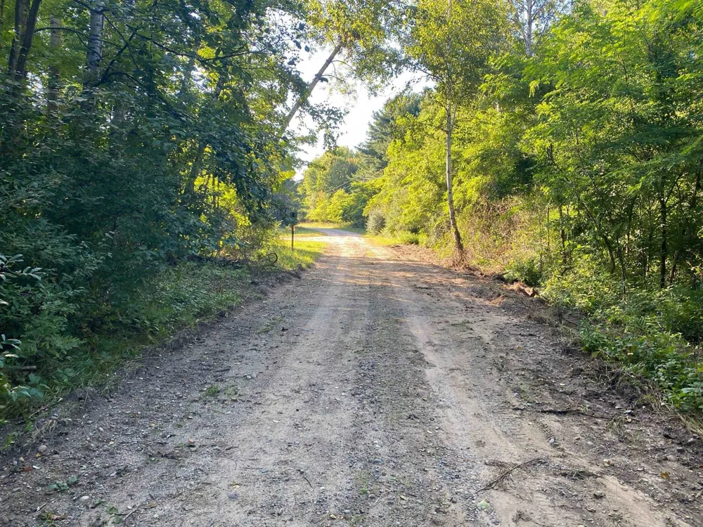 Allegheny Trail Evart Township, MI 49631