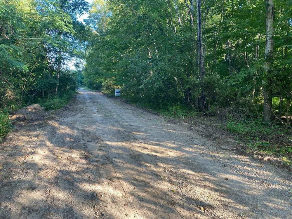 Allegheny Trail Evart Township, MI 49631