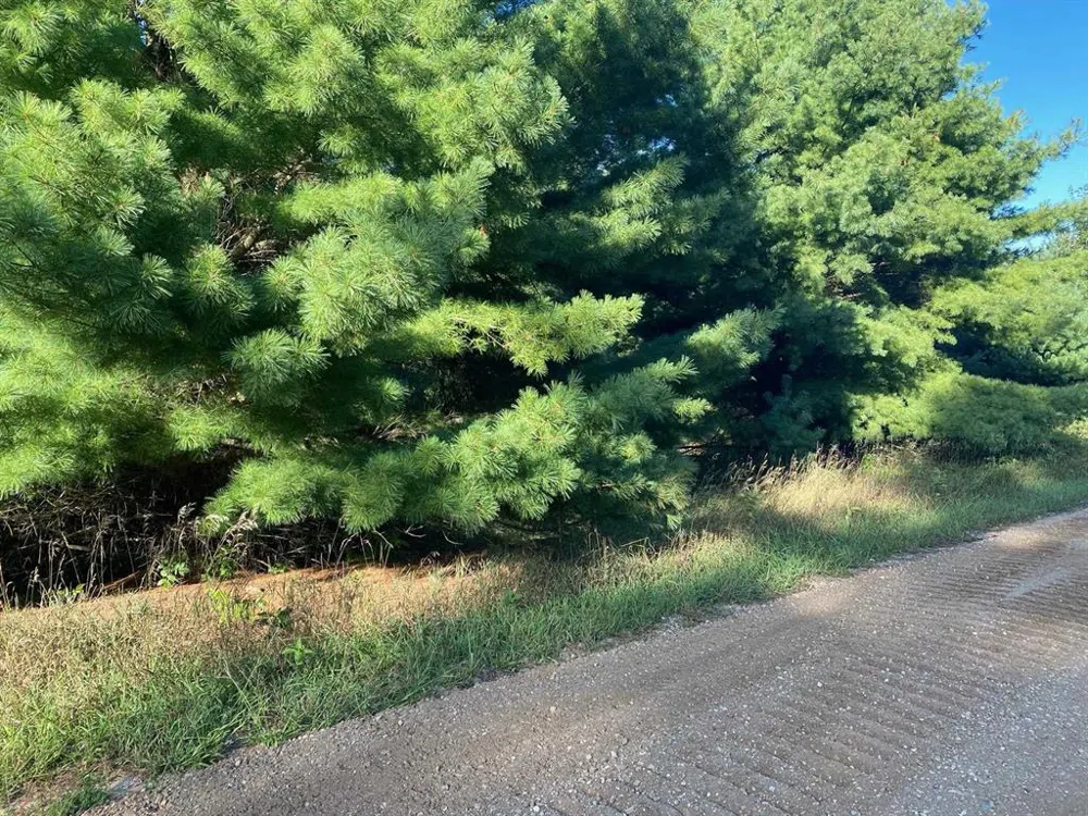 Allegheny Trail Evart Township, MI 49631