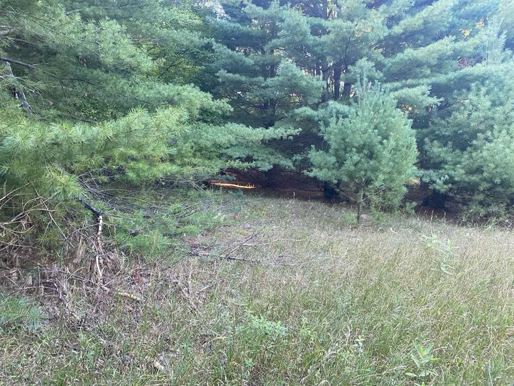 Allegheny Trail Evart Township, MI 49631