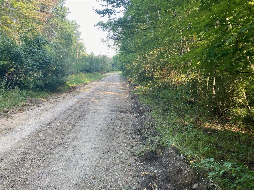 Allegheny Trail Evart Township, MI 49631