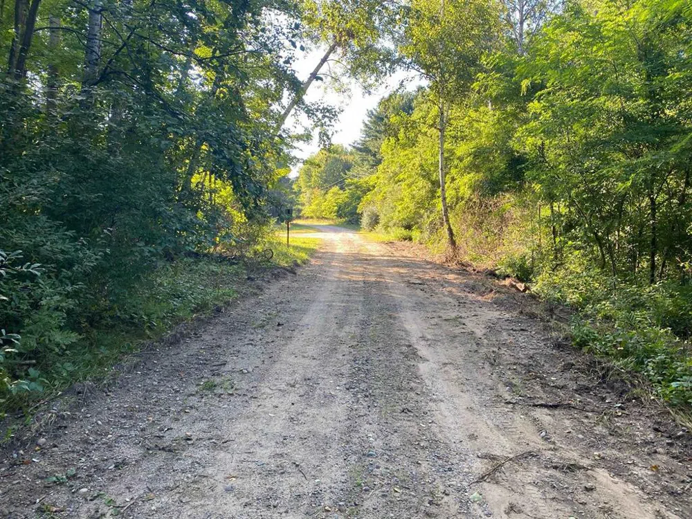 Allegheny Trail Evart Township, MI 49631