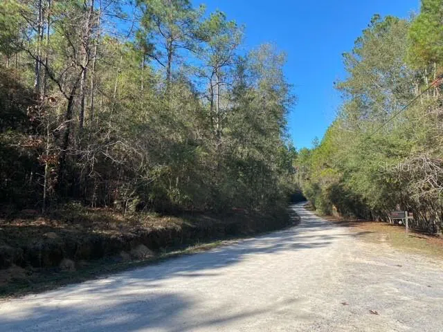 LOT 49 #O&P Defuniak Springs, FL 32433