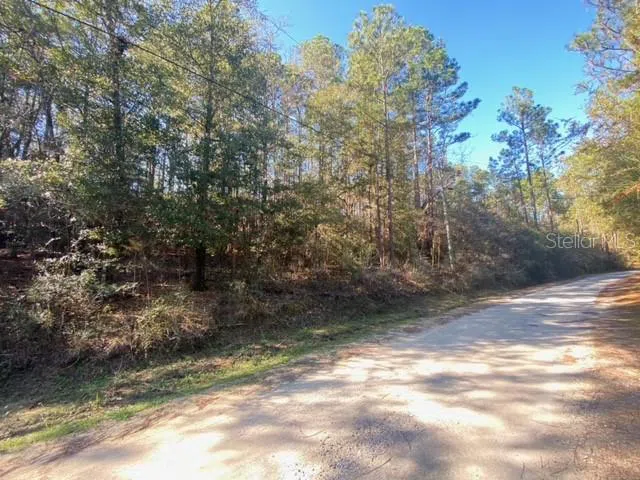 LOT 49 #O&P Defuniak Springs, FL 32433