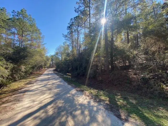 LOT 49 #O&P Defuniak Springs, FL 32433