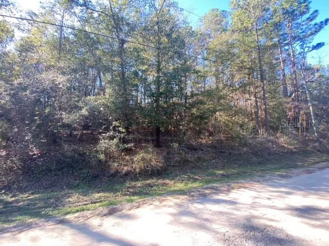 LOT 49 #O&P Defuniak Springs, FL 32433