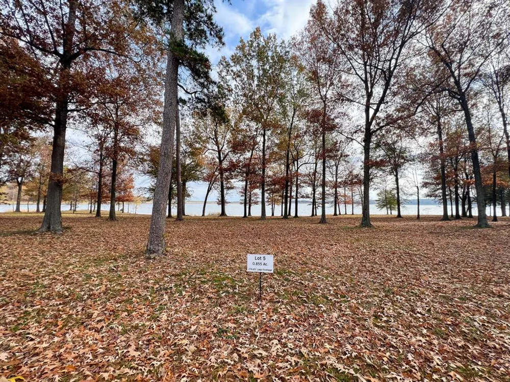 Eagles Nest Circle Mount Vernon, TX 75457