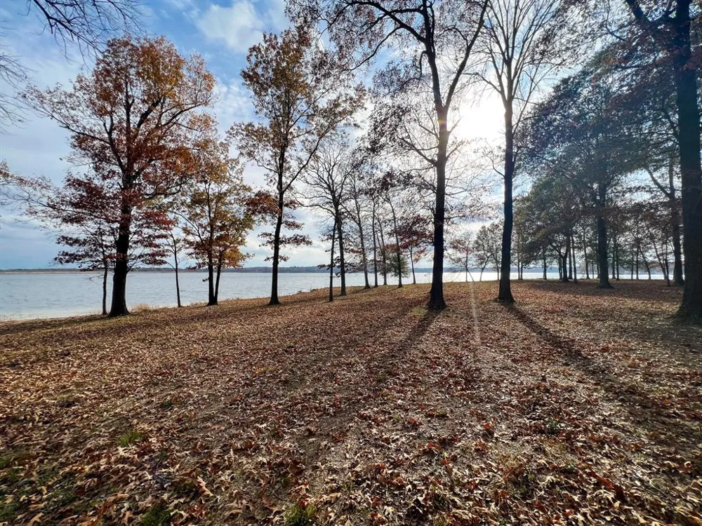 Eagles Nest Circle Mount Vernon, TX 75457