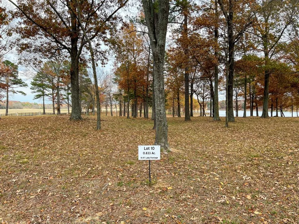 Eagles Nest Circle Mount Vernon, TX 75457
