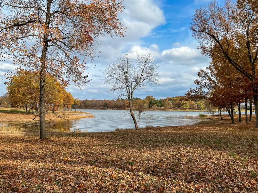 Eagles Nest Circle Mount Vernon, TX 75457