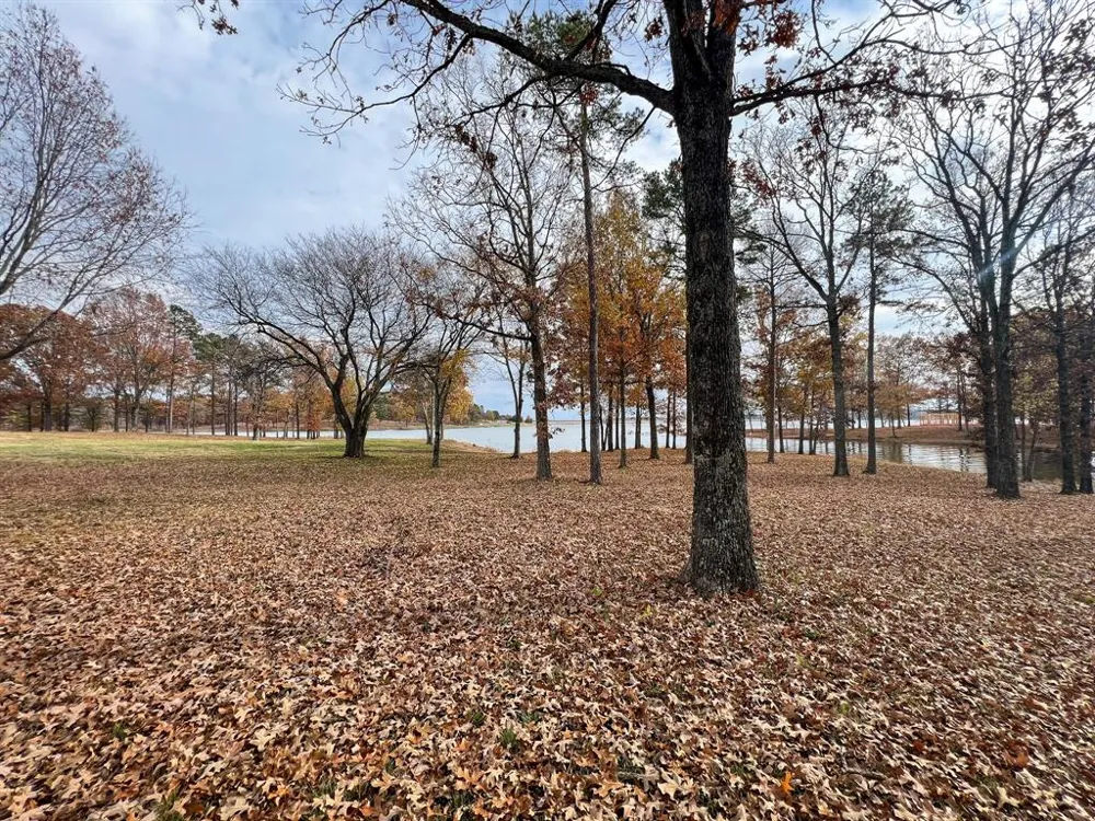 Eagles Nest Drive Mount Vernon, TX 75457