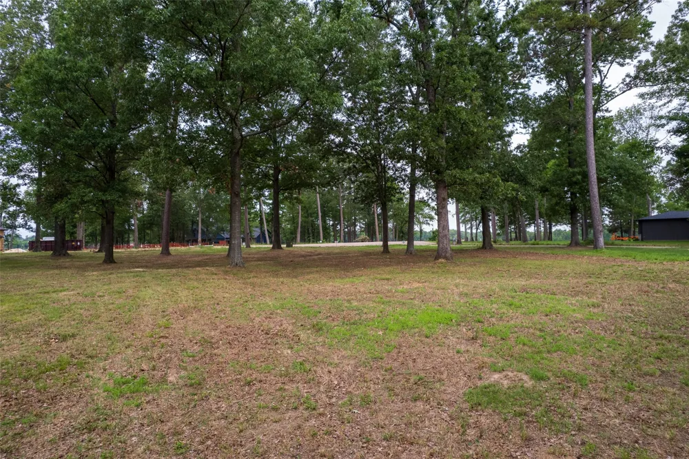 Eagles Nest Circle Mount Vernon, TX 75457