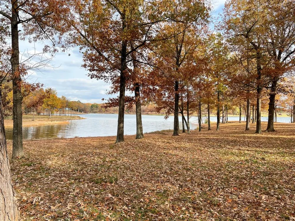Eagles Nest Circle Mount Vernon, TX 75457